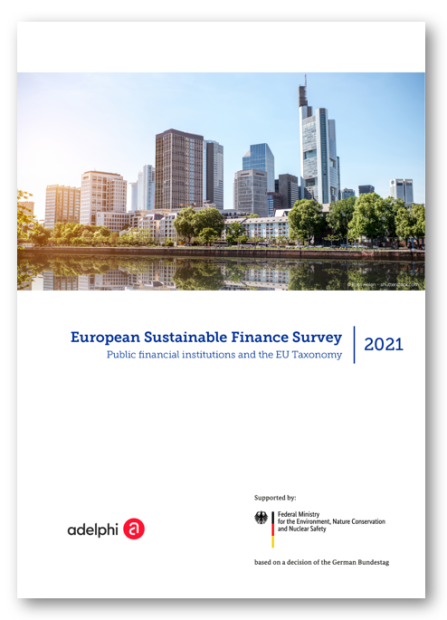 European Sustainable Finance Survey 2021